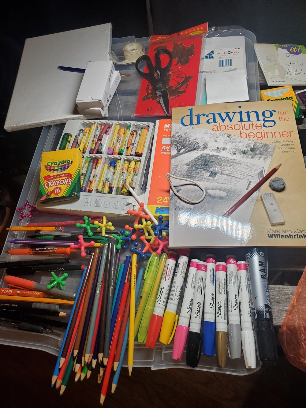 Beginner Art Supply Lot - 9x12 Sealed Canvas, Sharpie Paint Pens, Prismacolor